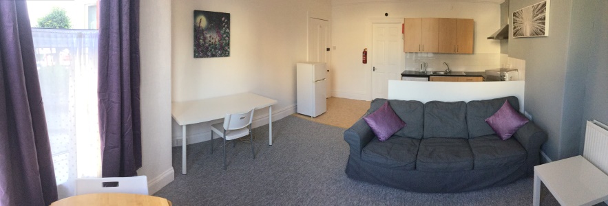 living room in this 1-bed student flat
